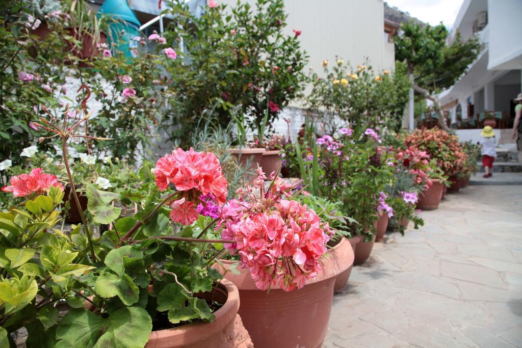Paralia Guest House Agia Roumeli Exterior foto