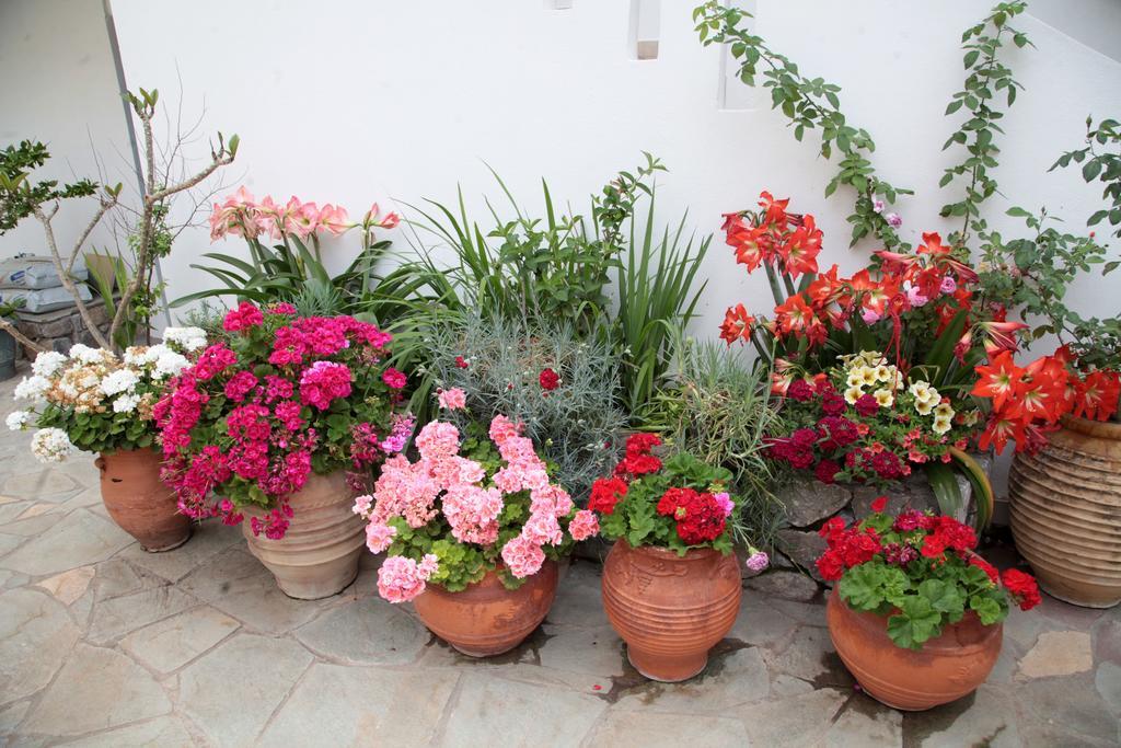 Paralia Guest House Agia Roumeli Exterior foto