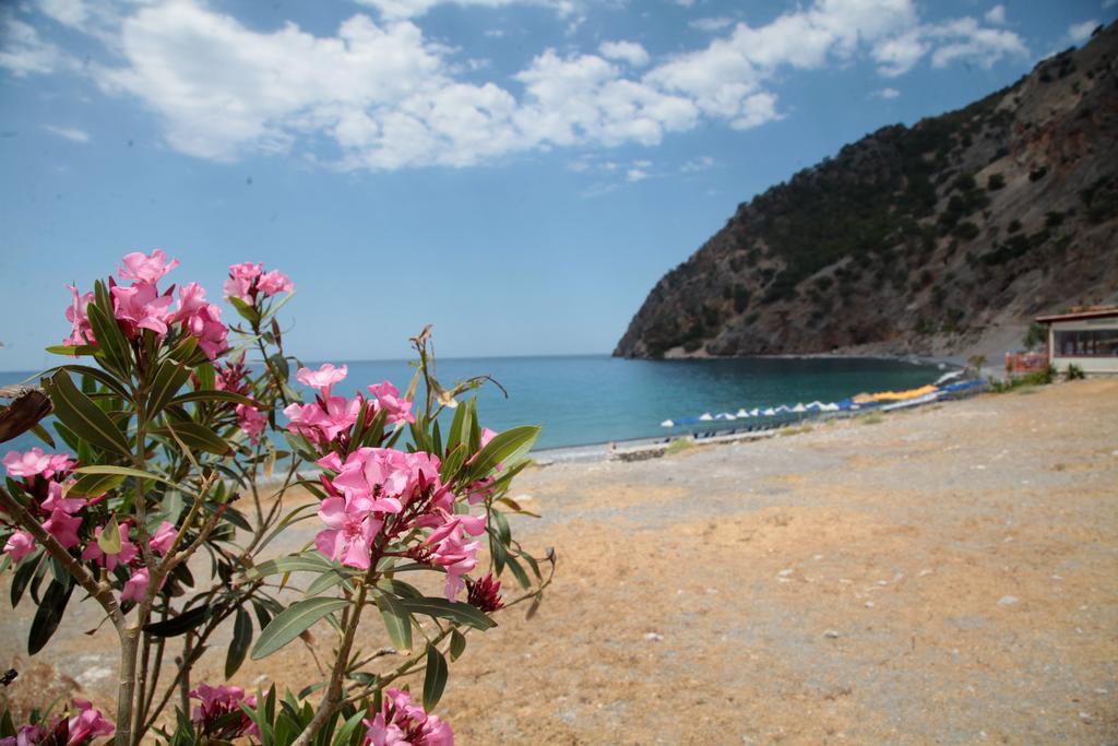 Paralia Guest House Agia Roumeli Exterior foto